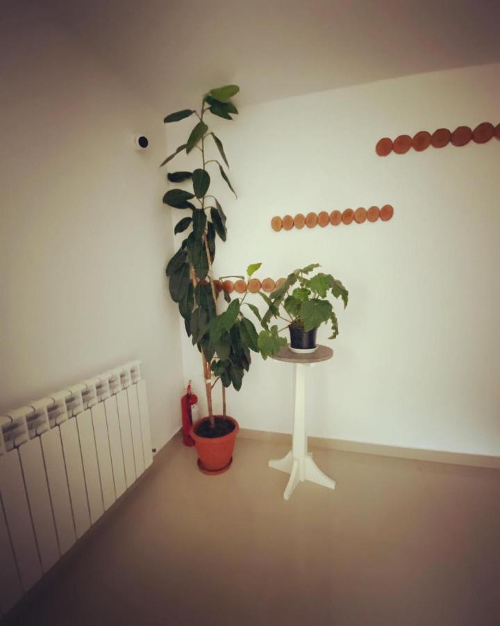 Maison Platanus Voineasa Eksteriør bilde